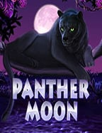 สูตรเด็ดเล่น mgm99 สล็อต ให้ปังแบบจัดเต็ม